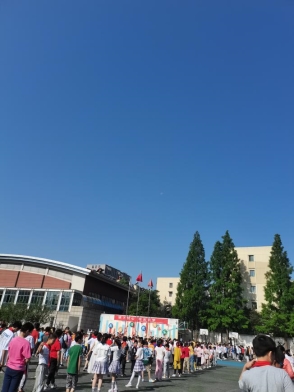 Saved PicturesIMG_20210601_080613